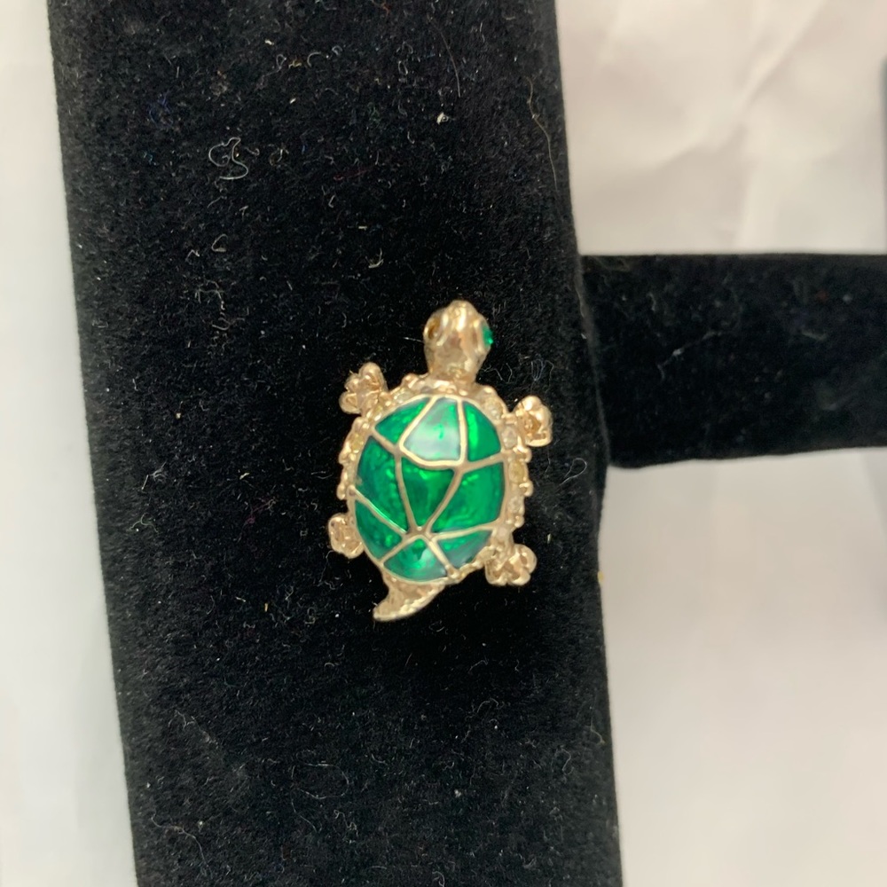 Small Turtle brooch -119